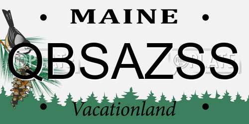 QBSAZSS Maine License Plate