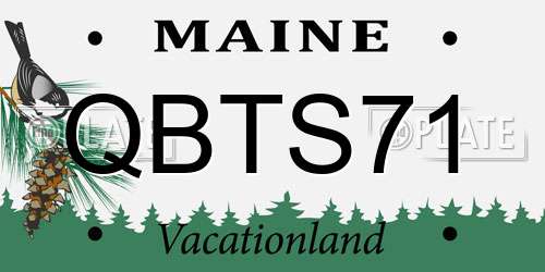 QBTS71 Maine License Plate