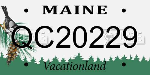 QC20229 Maine License Plate