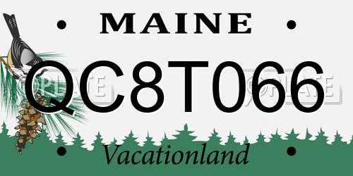 QC8T066 Maine License Plate