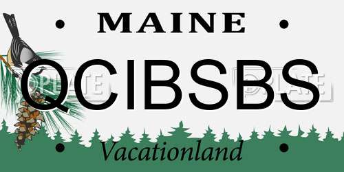 QCIBSBS Maine License Plate