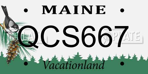 QCS667 Maine License Plate