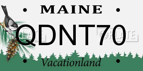 QDNT70 Maine License Plate
