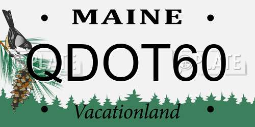 QDOT60 Maine License Plate
