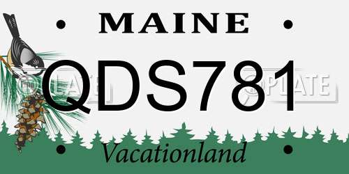 QDS781 Maine License Plate