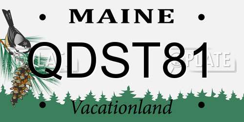 QDST81 Maine License Plate