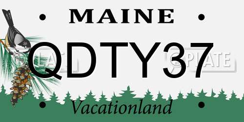 QDTY37 Maine License Plate