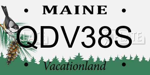 QDV38S Maine License Plate