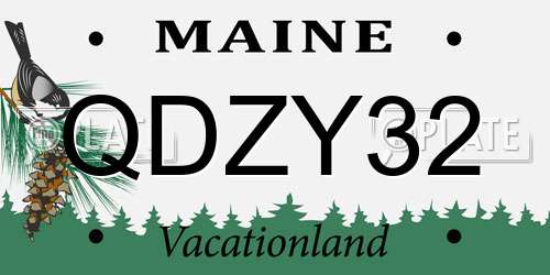 QDZY32 Maine License Plate