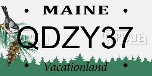 QDZY37 Maine License Plate