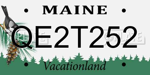 QE2T252 Maine License Plate
