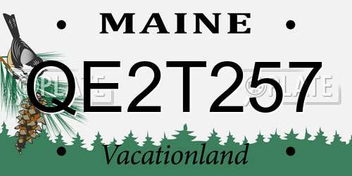 QE2T257 Maine License Plate