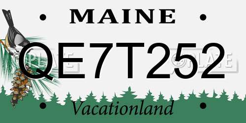 QE7T252 Maine License Plate