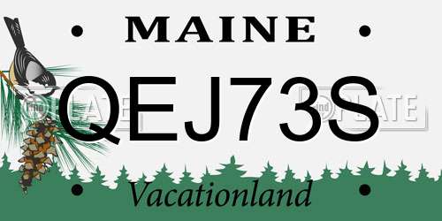 QEJ73S Maine License Plate