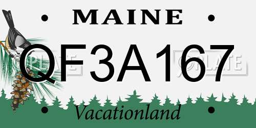 QF3A167 Maine License Plate