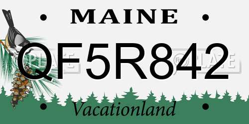 QF5R842 Maine License Plate
