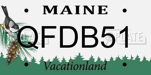 QFDB51 Maine License Plate