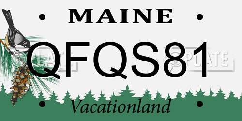 QFQS81 Maine License Plate