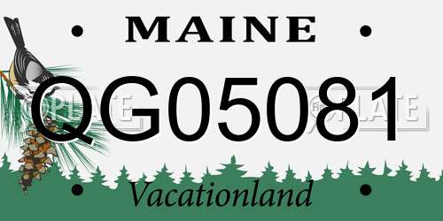 QG05081 Maine License Plate