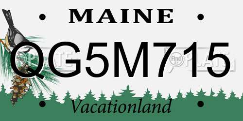 QG5M715 Maine License Plate