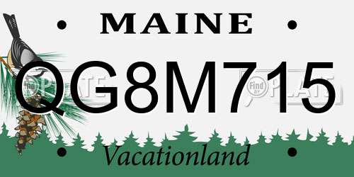 QG8M715 Maine License Plate
