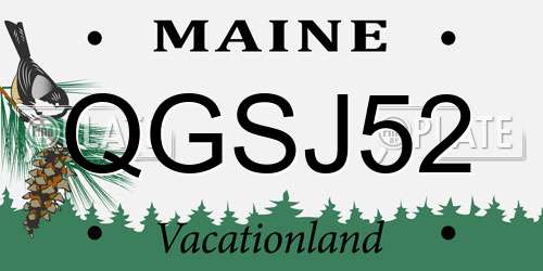 QGSJ52 Maine License Plate