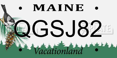QGSJ82 Maine License Plate