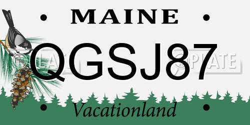 QGSJ87 Maine License Plate