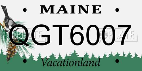 QGT6007 Maine License Plate