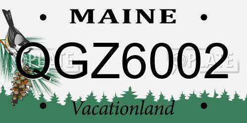 QGZ6002 Maine License Plate