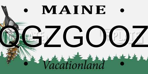 QGZGOOZ Maine License Plate