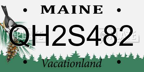 QH2S482 Maine License Plate
