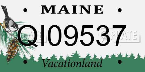 QI09537 Maine License Plate