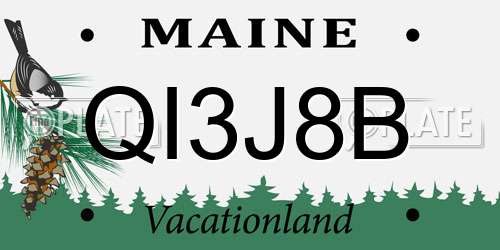 QI3J8B Maine License Plate