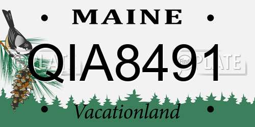 QIA8491 Maine License Plate