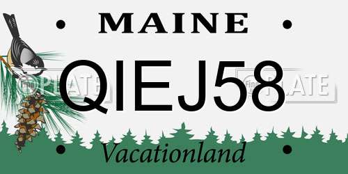 QIEJ58 Maine License Plate