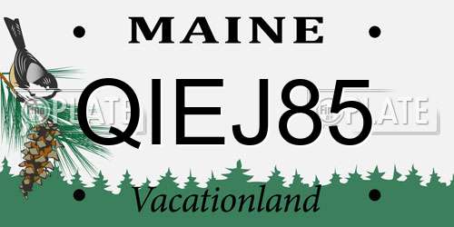 QIEJ85 Maine License Plate