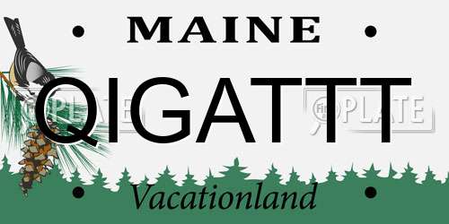 QIGATTT Maine License Plate