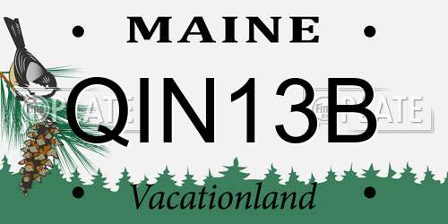 QIN13B Maine License Plate