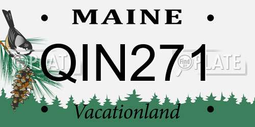 QIN271 Maine License Plate