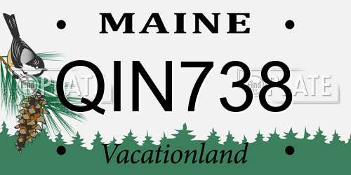 QIN738 Maine License Plate