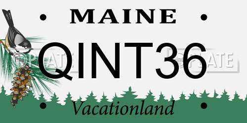 QINT36 Maine License Plate