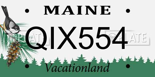 QIX554 Maine License Plate