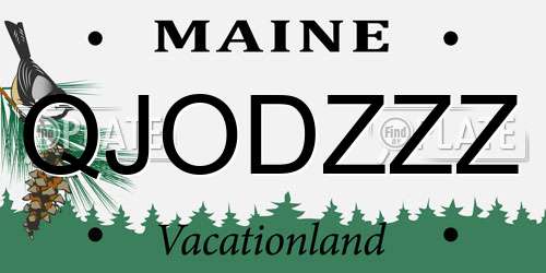 QJODZZZ Maine License Plate