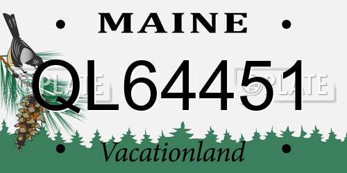 QL64451 Maine License Plate