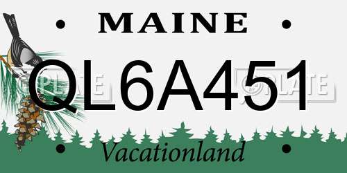 QL6A451 Maine License Plate