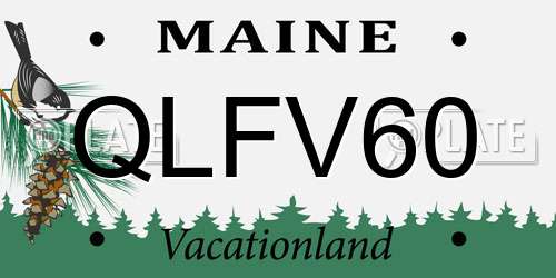 QLFV60 Maine License Plate