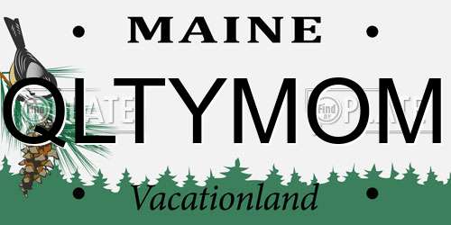 QLTYMOM Maine License Plate