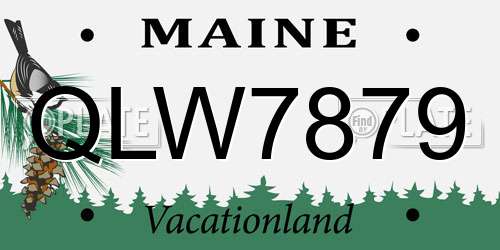 QLW7879 Maine License Plate