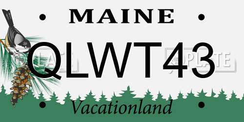 QLWT43 Maine License Plate